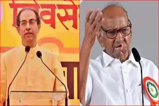 Sharad Pawar Uddhav fighting for political survival