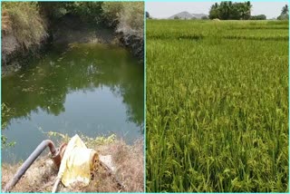 Narayanpet Crops with spring wells