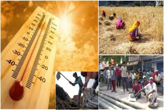 Sun Heat Effects On Outdoor Workers- Heat Wave Guidelines
