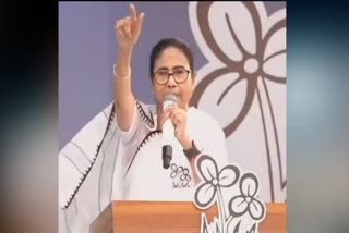 Mamata slams NIA operation