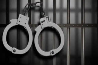 Two Naxalites, Kajal(28) and Geeta(31) have been arrested in Gadchiroli, a district in the Vidarbha region in Maharashtra, ahead of the upcoming Lok Sabha elections, where ten seats will be cast.