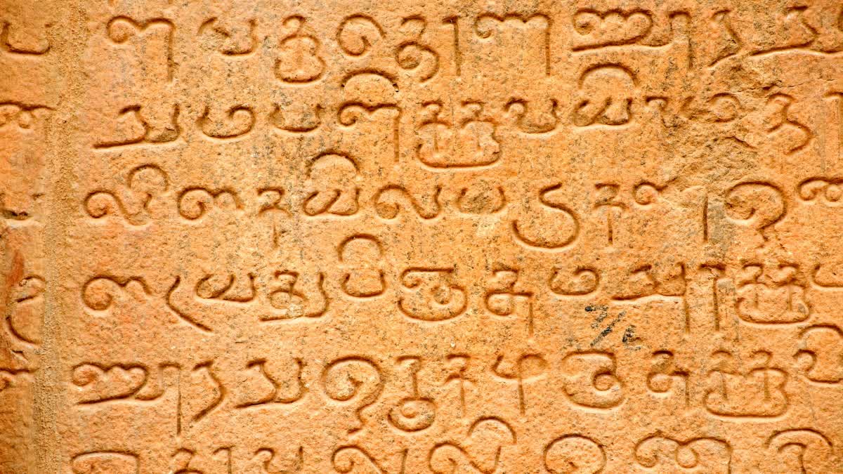 ‘தமிழ்’ தான் முதல் மொழி; பெயர் பலகைகளை மாத்துங்க - களத்தில் இறங்கிய ...