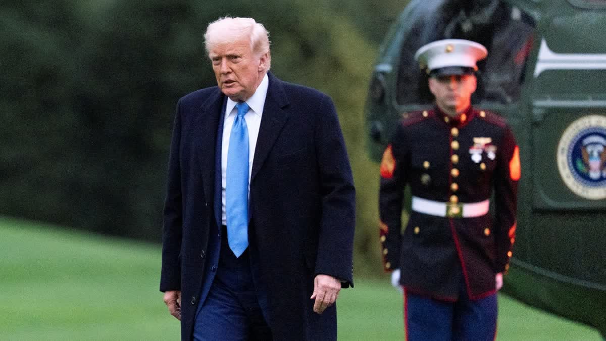Trump on Tariff policy