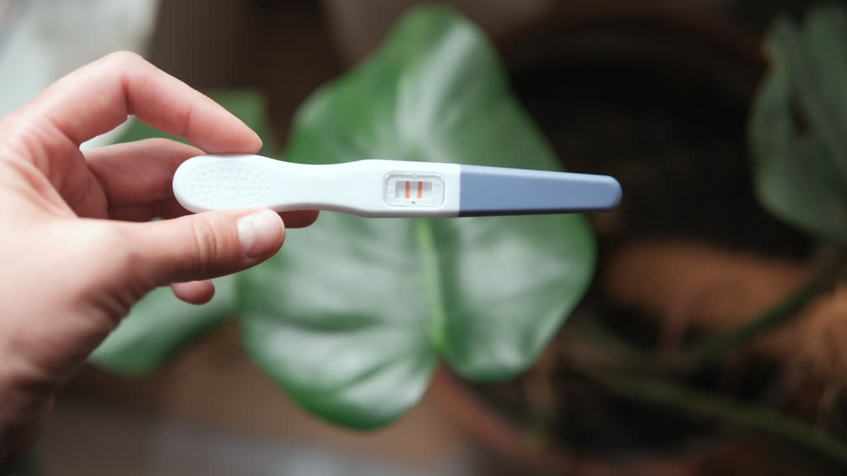 World Health Day 2025: Planning To Get Pregnant Someday? Preconception ...