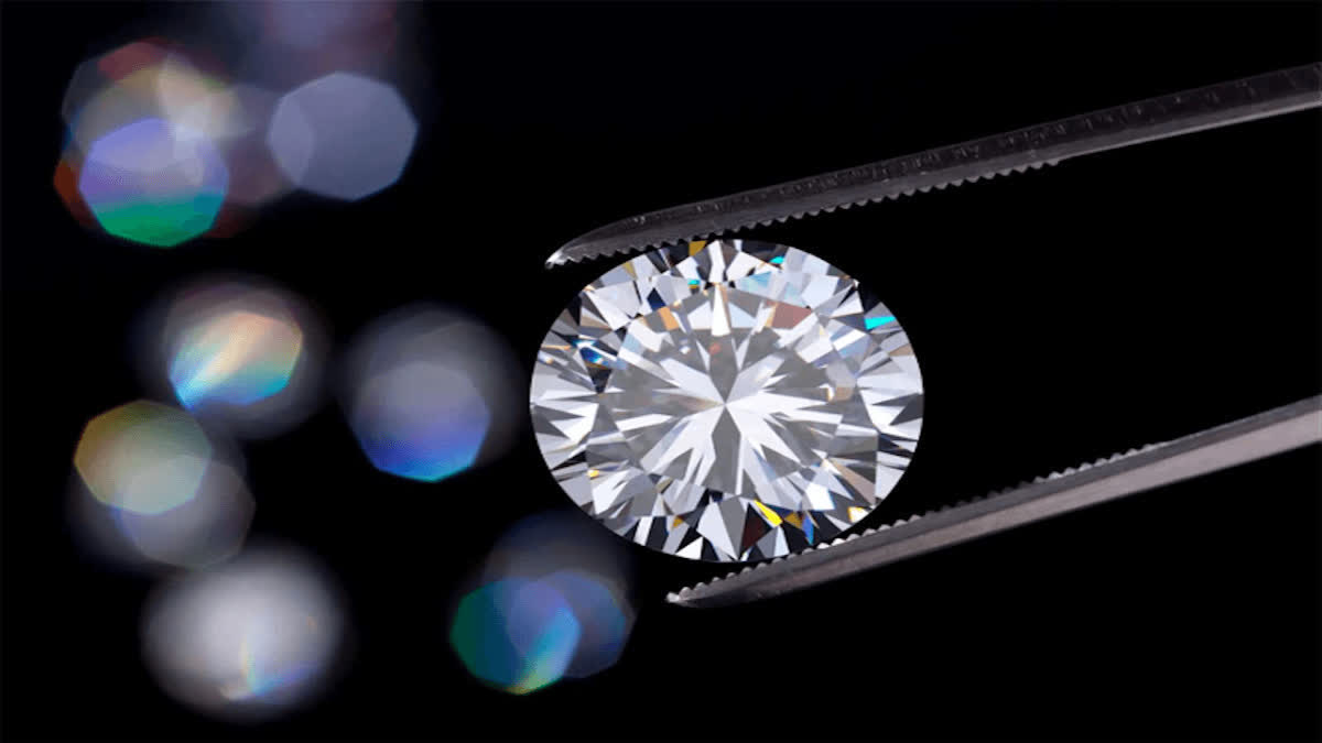 PANNA DIAMOND PARK