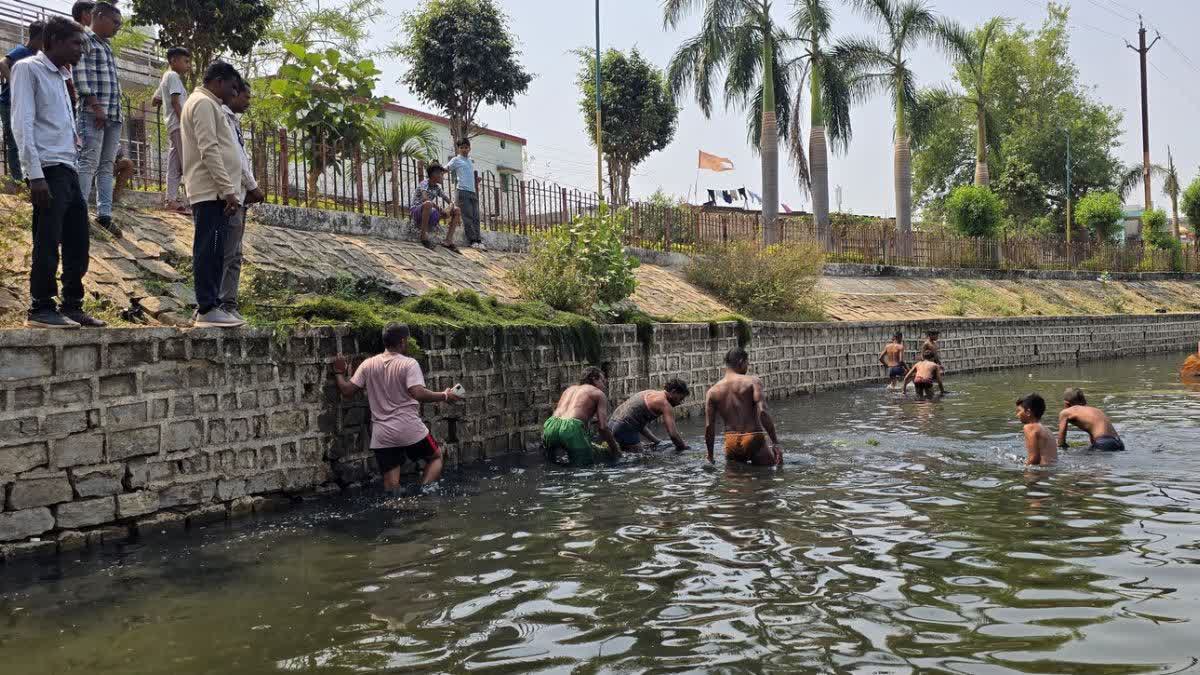 clean ponds