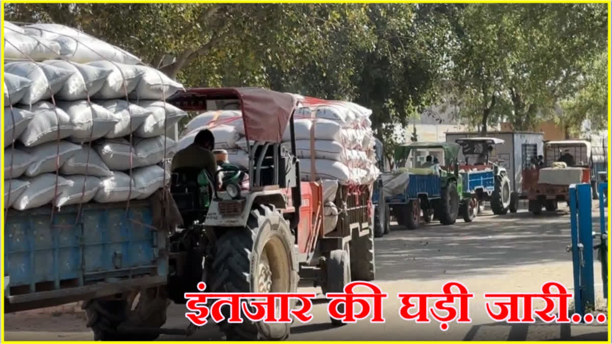 Charkhi Dadri Grain Market