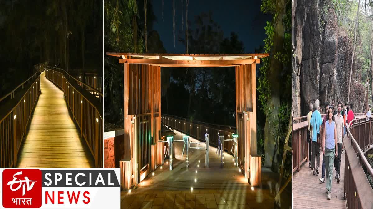 Mumbai's first elevated nature trail walkway