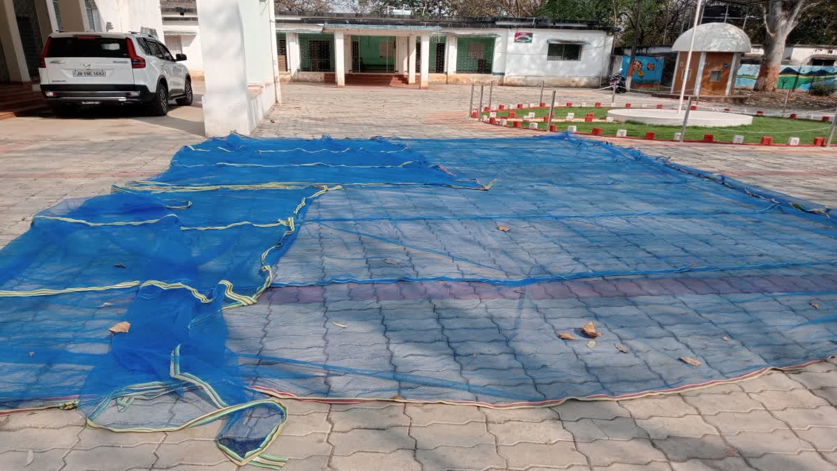 net-will-be-laid-in-forests-to-collect-mahua-in-latehar