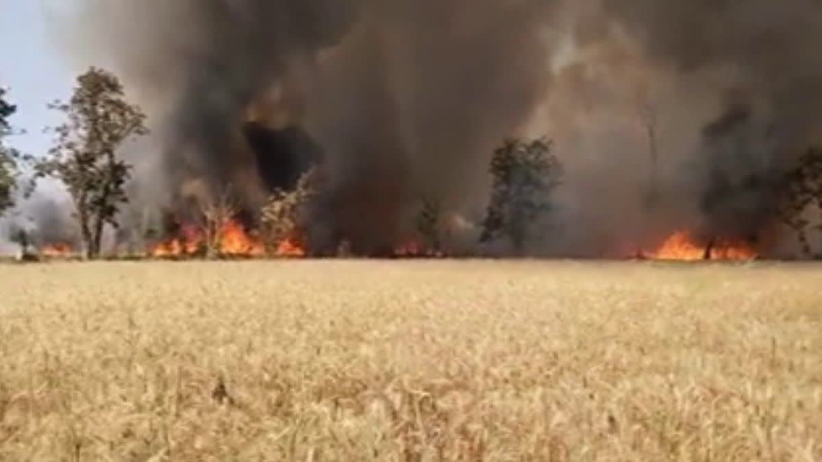 MANDLA FIRE NEWS