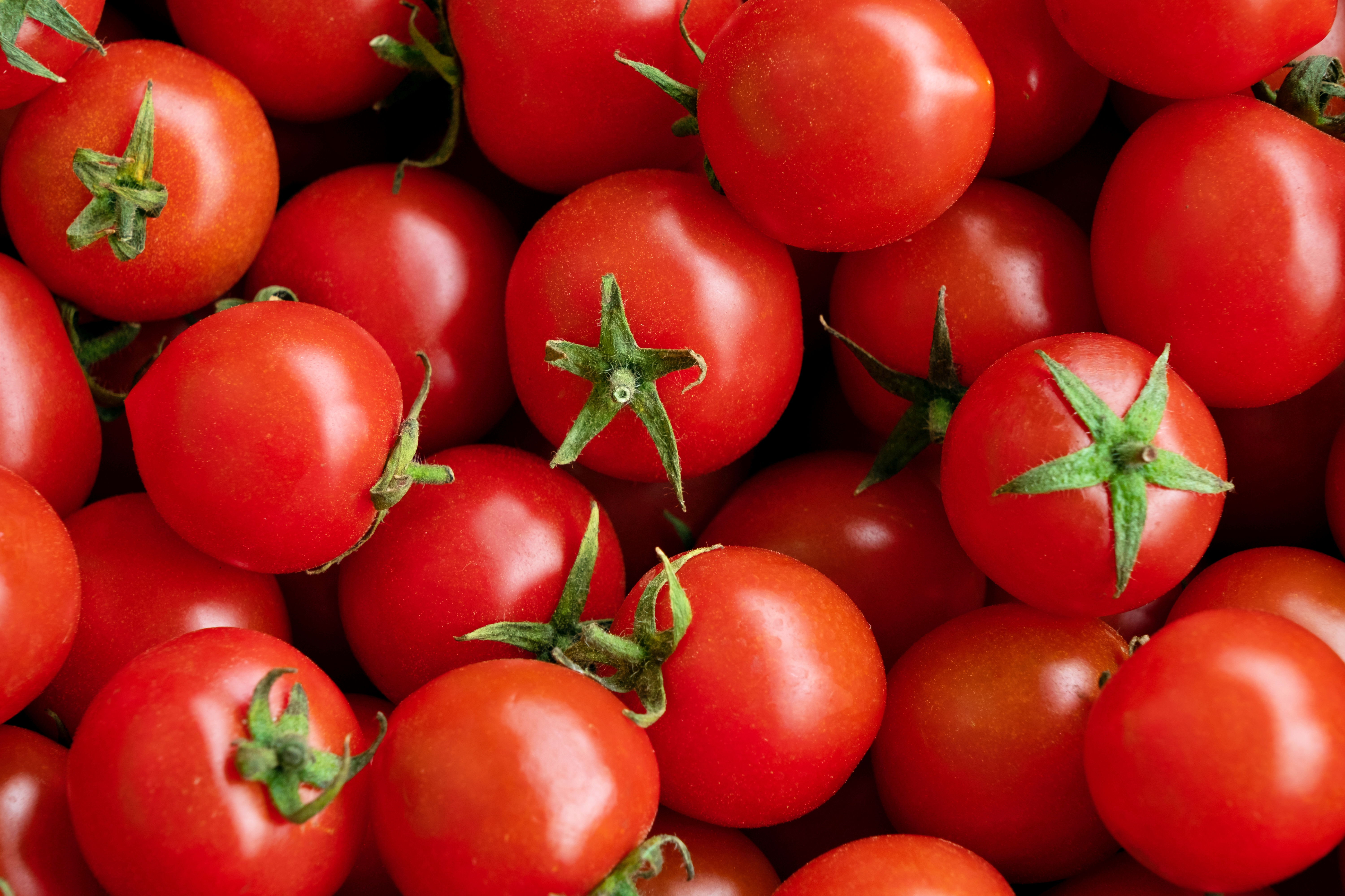 Tomato