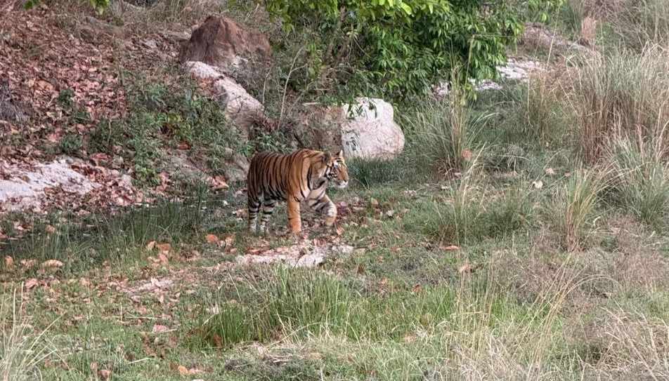 BANDHAVGARH TIGER RESERVE