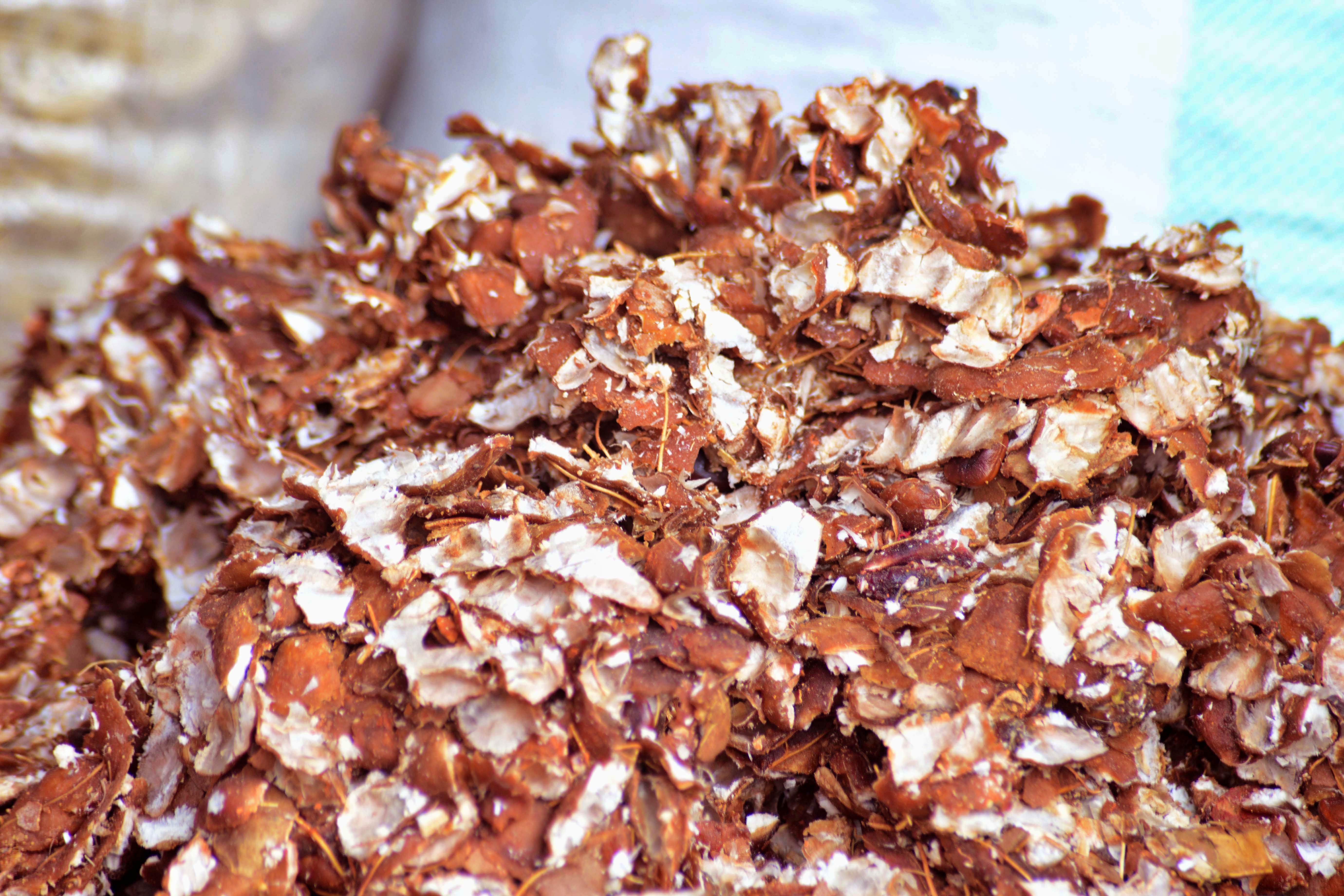 Tamarind