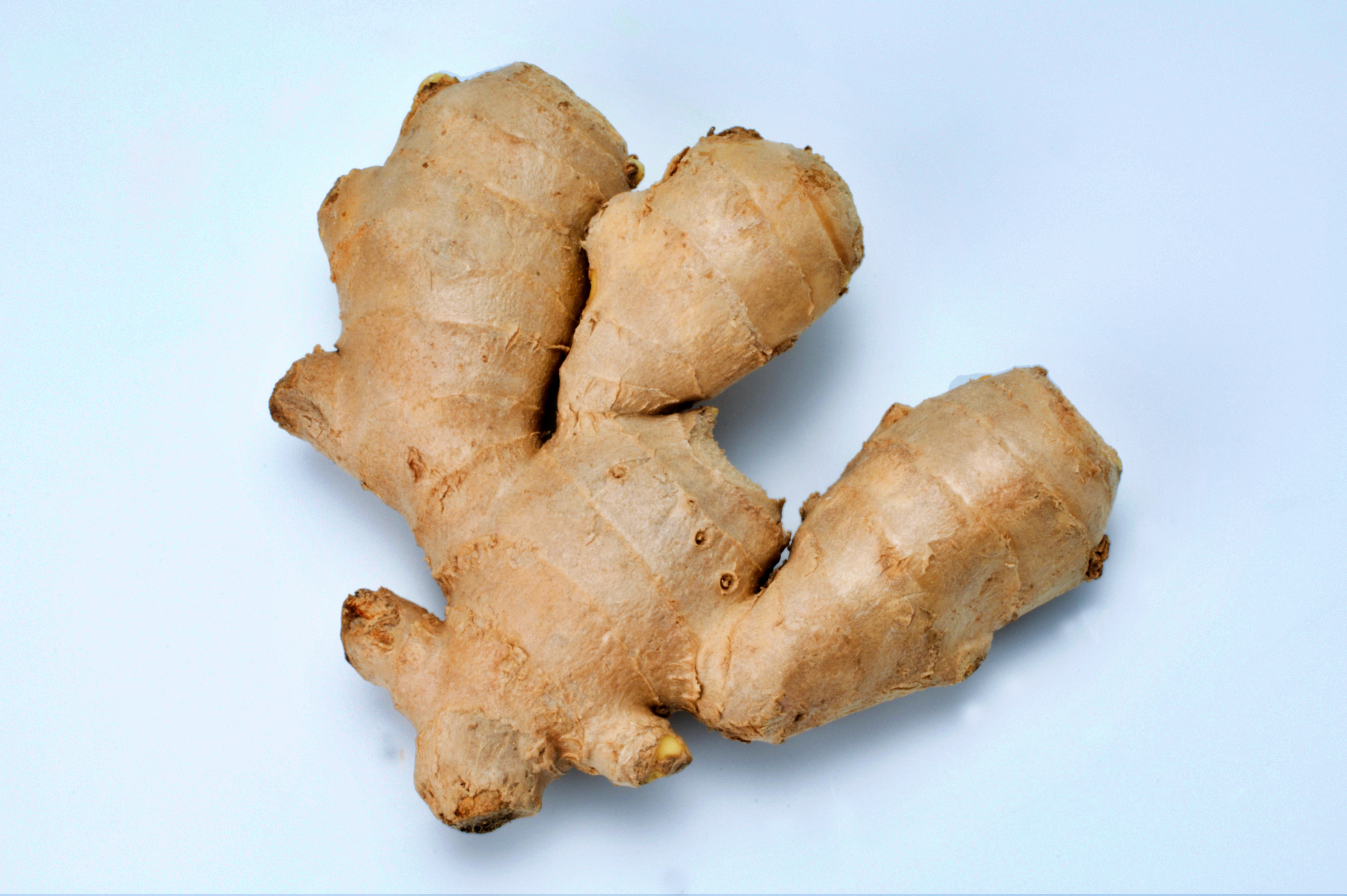 ginger