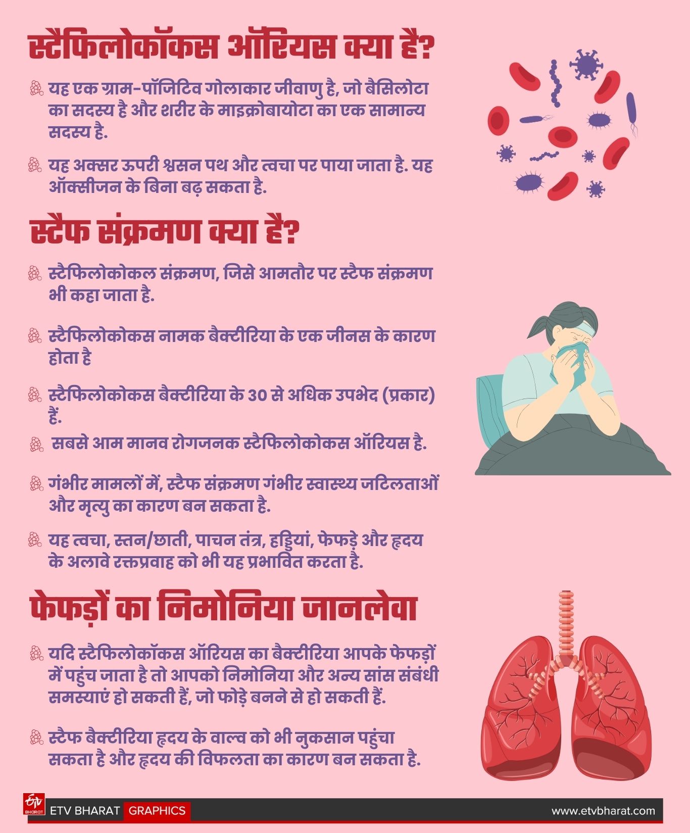 ETV Bharat