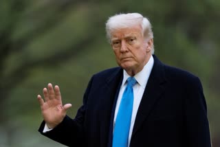 DONALD TRUMP