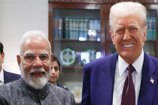 Expert Warns Of US Tariff Fallout, Urges India To Diversify Trade Relations