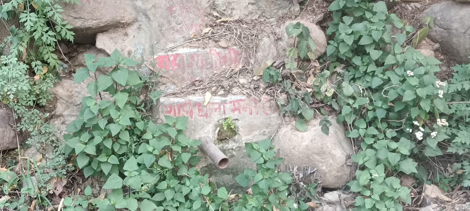 rudraprayag drinking water crisis