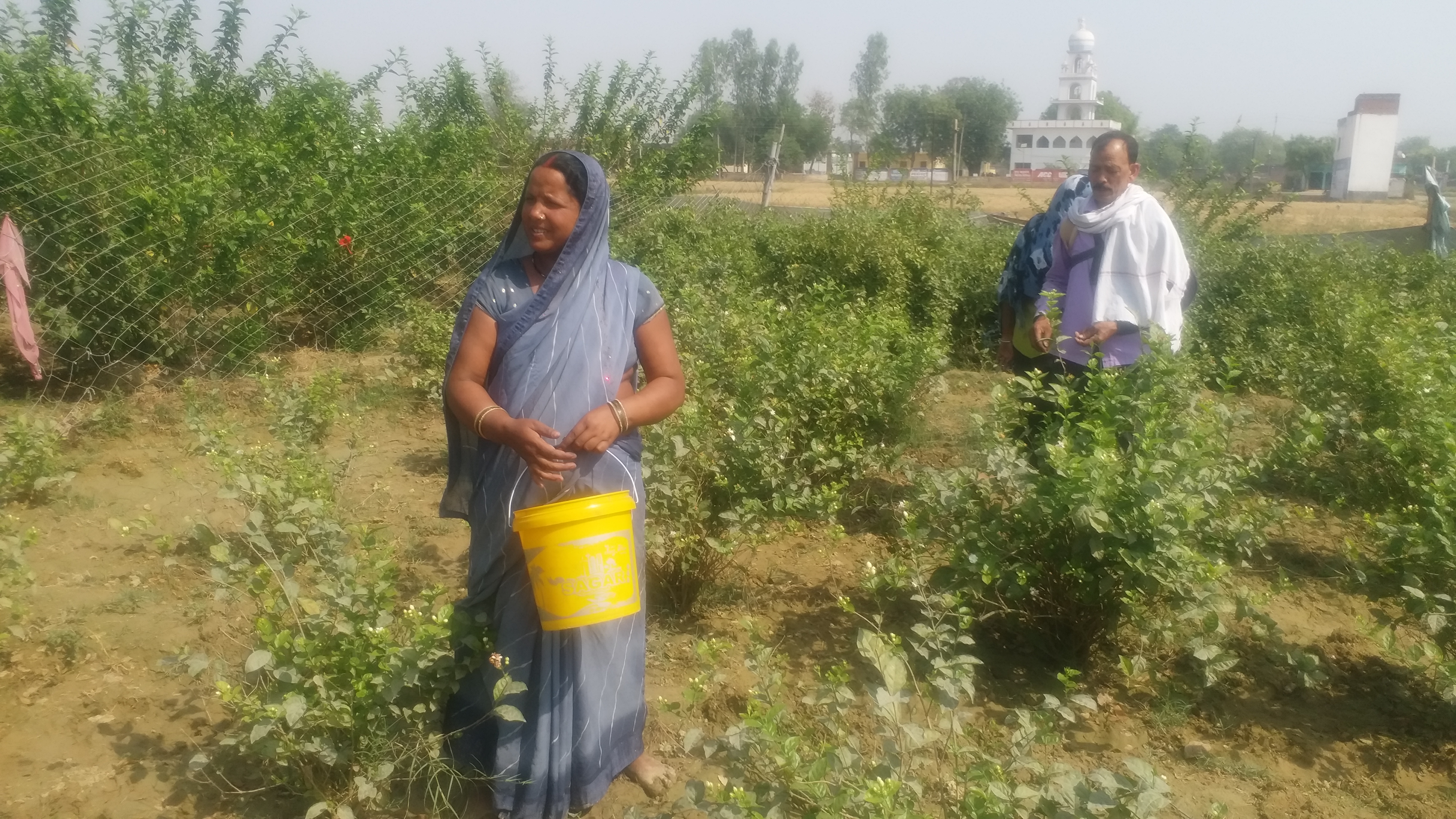 Flower Cultivator Seema Devi's Inspirational Story Of Earning Rs 300 To Lakhs