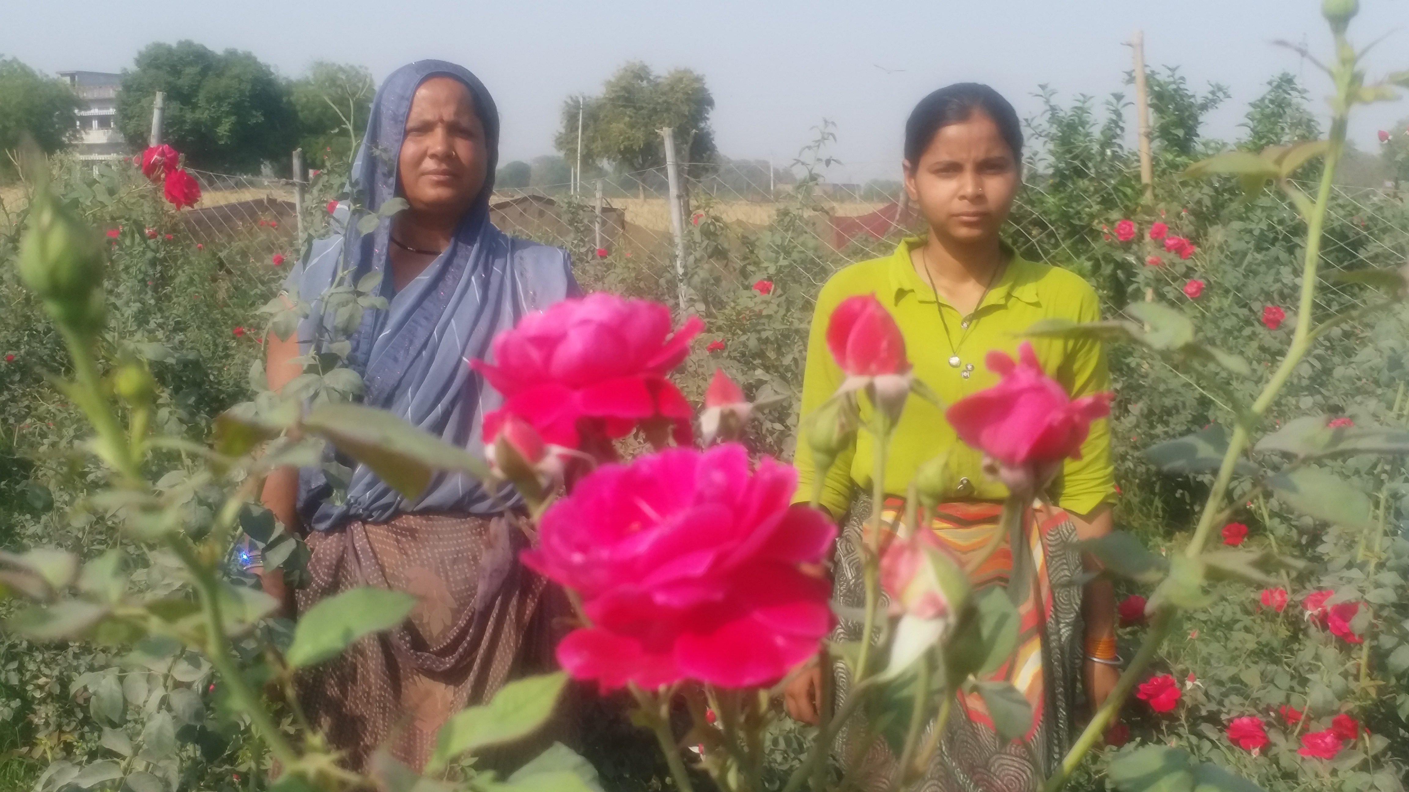Flower Cultivator Seema Devi's Inspirational Story Of Earning Rs 300 To Lakhs