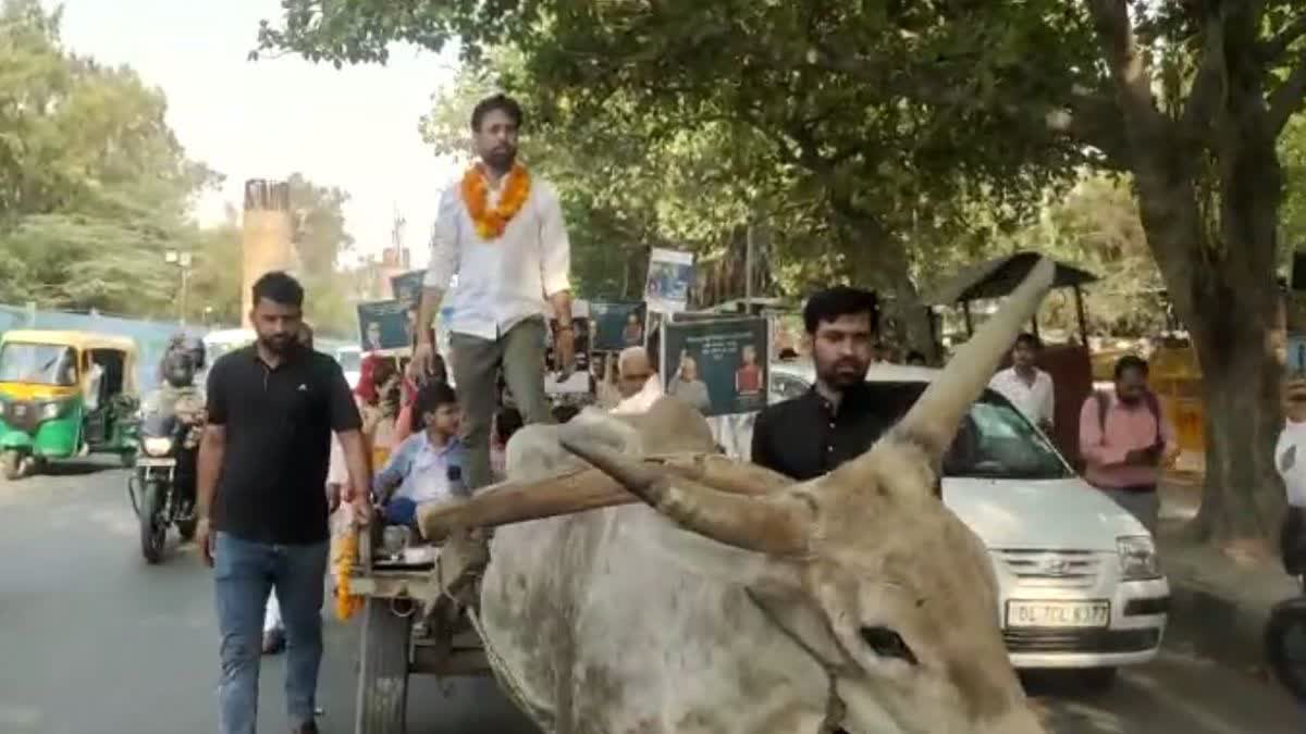 बैल गाड़ी पर नामाकंन करने पहुंचा उम्मीदवार