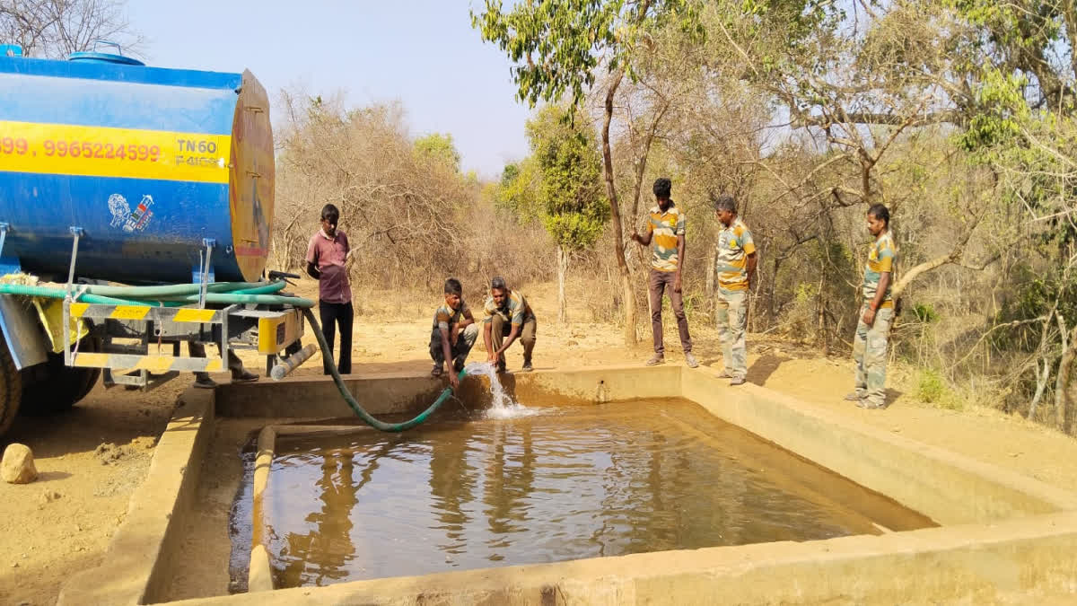 Water facility for animals in Sathyamangalam