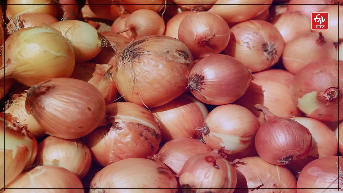 India exports onion