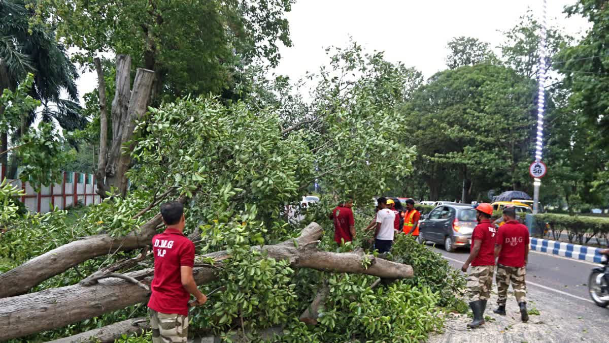 Thunderstorms in West Bengal