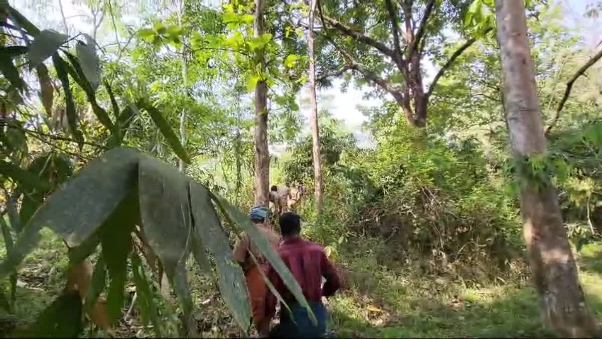 MISSING CASE IN ATHIRAPPILLY FOREST  വയോധികയെ കാണാതായി  അതിരപ്പിള്ളി വനത്തിൽ കാണാതായി  FOREST DEPARTMENT