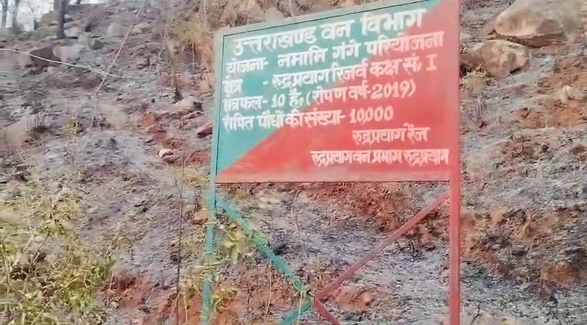 Rudraprayag Forest Fire