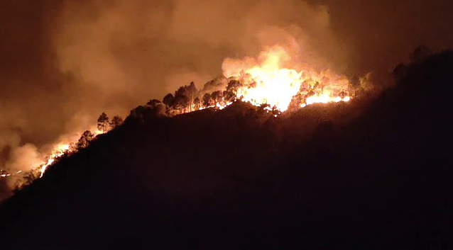 Rudraprayag Forest Fire