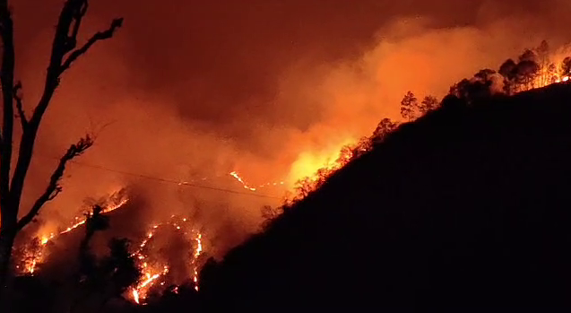 Rudraprayag Forest Fire