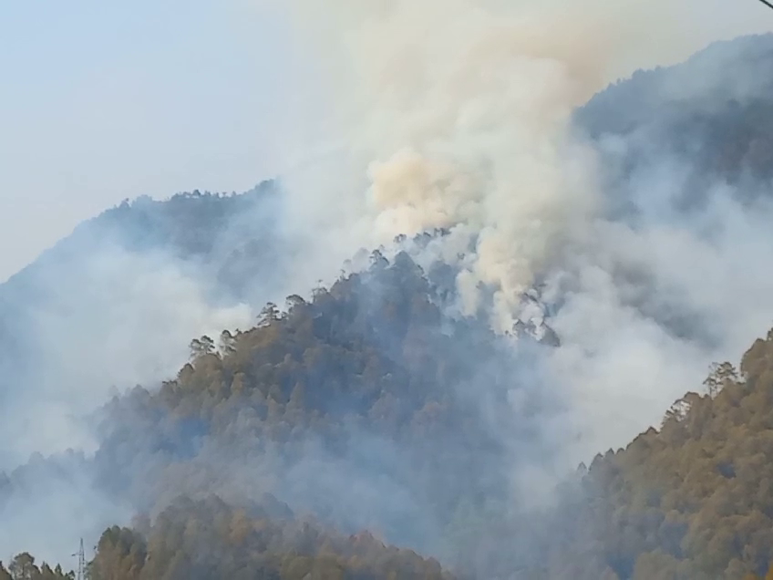 Forest Fire Uttarakhand