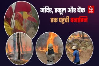 PAURI FOREST FIRE