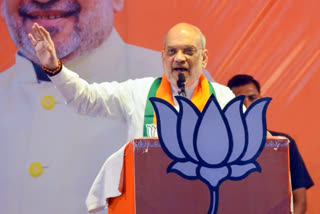 Amit Shah asked voters to elect a government that has experience in "public welfare" and a "blueprint" for a developed India.