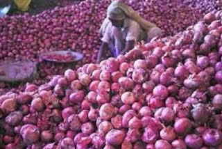EXPORT OF ONIONS