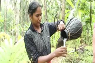 First Woman Toddy Tapper in Kerala