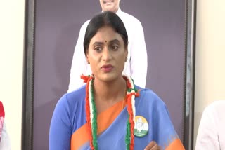 YS Sharmila Comments on CM Jagan