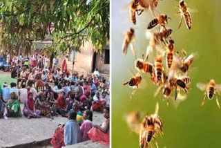 BEES ATTACK on Voters