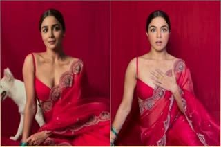 Alia Bhatt Deepfake Video