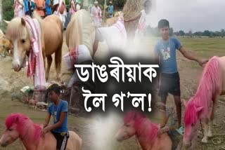 Gohpur White Horses