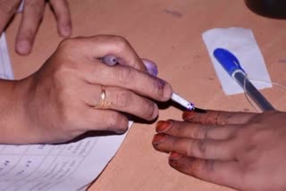Overall Peaceful Polling In 7 Seats Of Chhattisgarh: EC