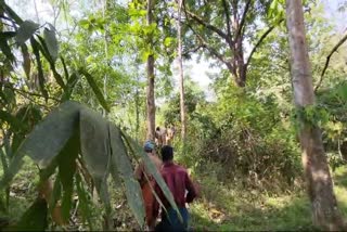 MISSING CASE IN ATHIRAPPILLY FOREST  വയോധികയെ കാണാതായി  അതിരപ്പിള്ളി വനത്തിൽ കാണാതായി  FOREST DEPARTMENT