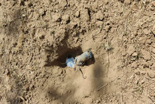 IED RECOVER IN GAYA