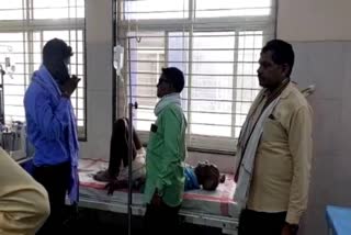 betul barati injured in bee attack