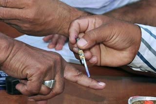 panchayat election 2025