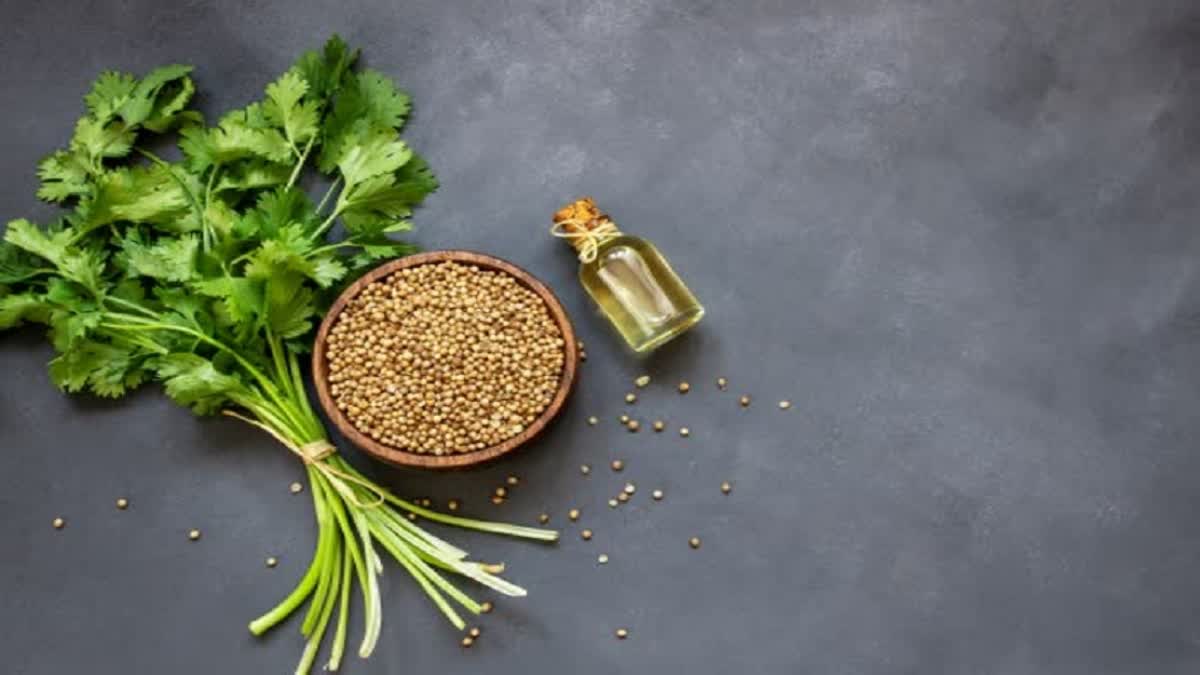 Soaked Coriander Water Benefits