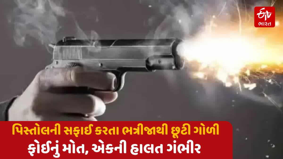 યુવકને પિસ્તોલ રાખવાનો શોખ મોંઘો પડ્યો