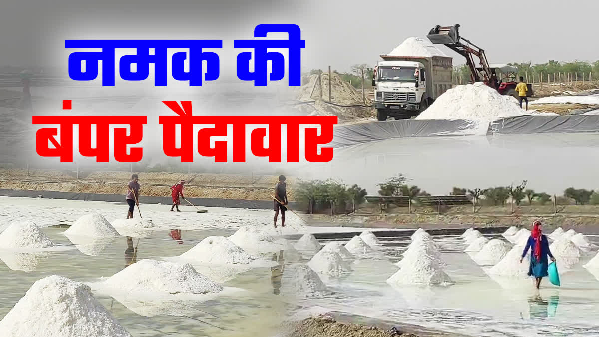 SALT PRODUCTION IN KUCHAMANCITY