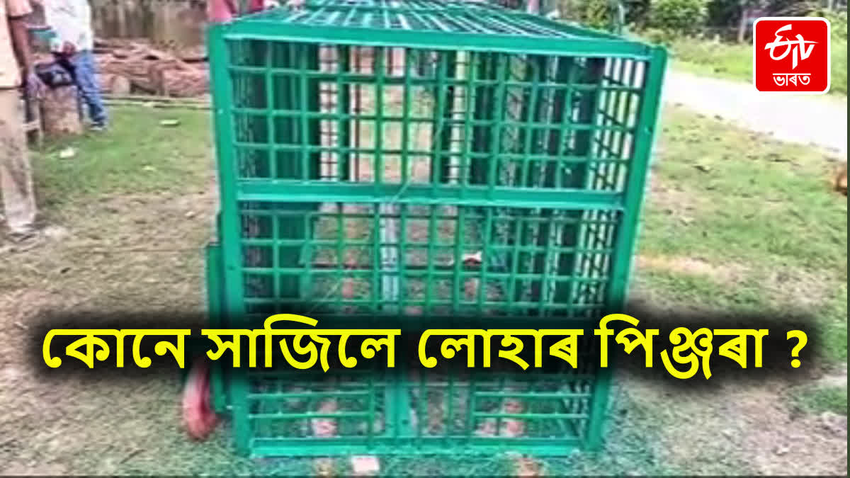 Iron cage in Assam